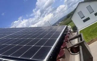 Schutz vor Tauben mit Spikes