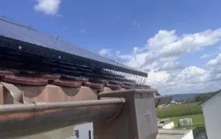 Taubenabwehr-mit-unseren-Spikes