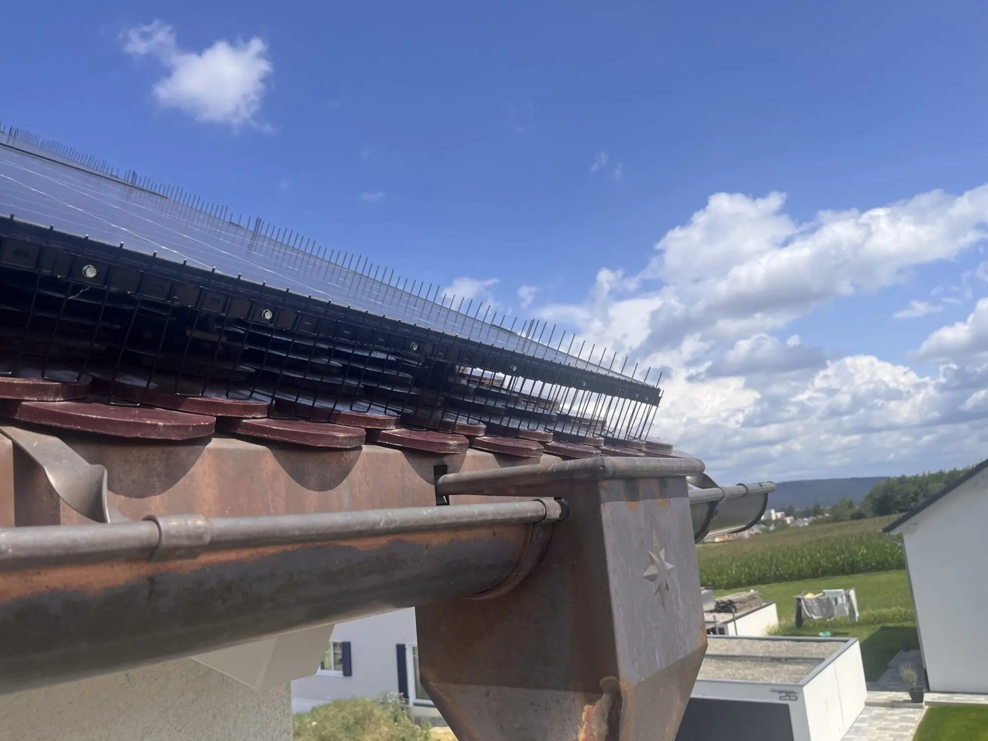 Taubenabwehr-mit-unseren-Spikes