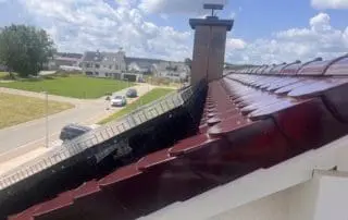 schutz vor tauben bei Solarzellen