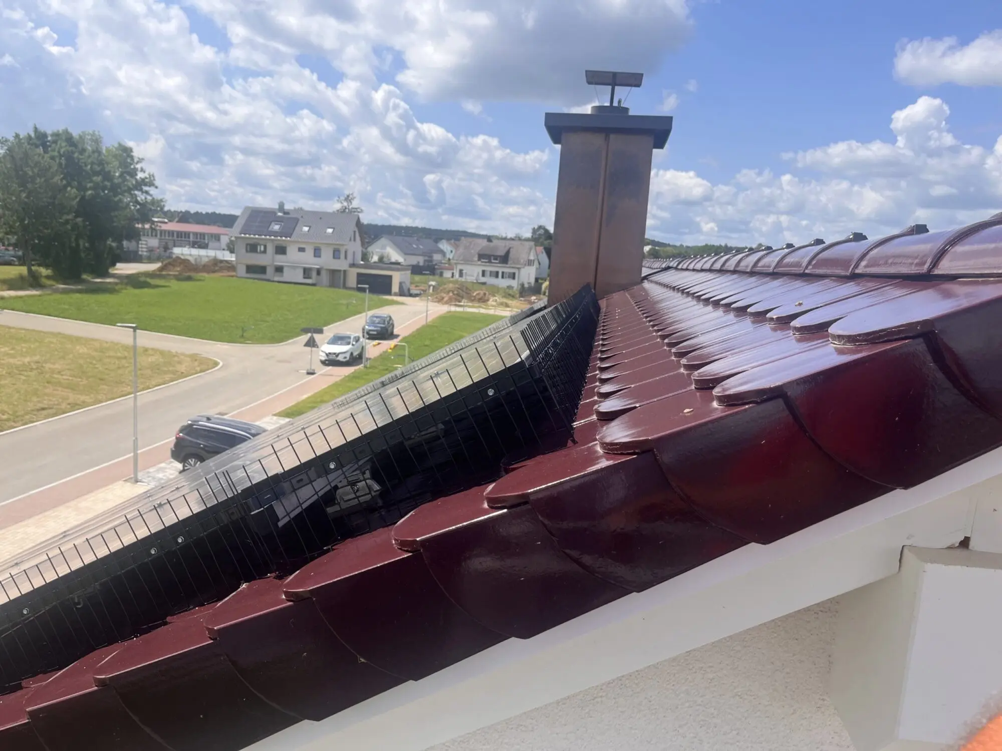 schutz vor tauben bei Solarzellen