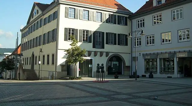 Professionelle Taubenabwehr in Balingen