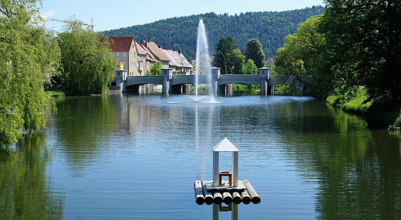 Professionelle Taubenabwehr in Tuttlingen