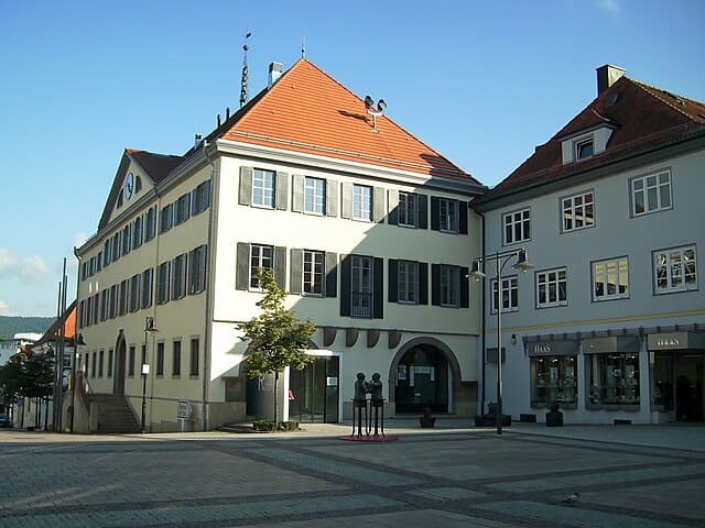 Balingen-Rathaus204-2 tauben-loswerden-mit-taubenspikes