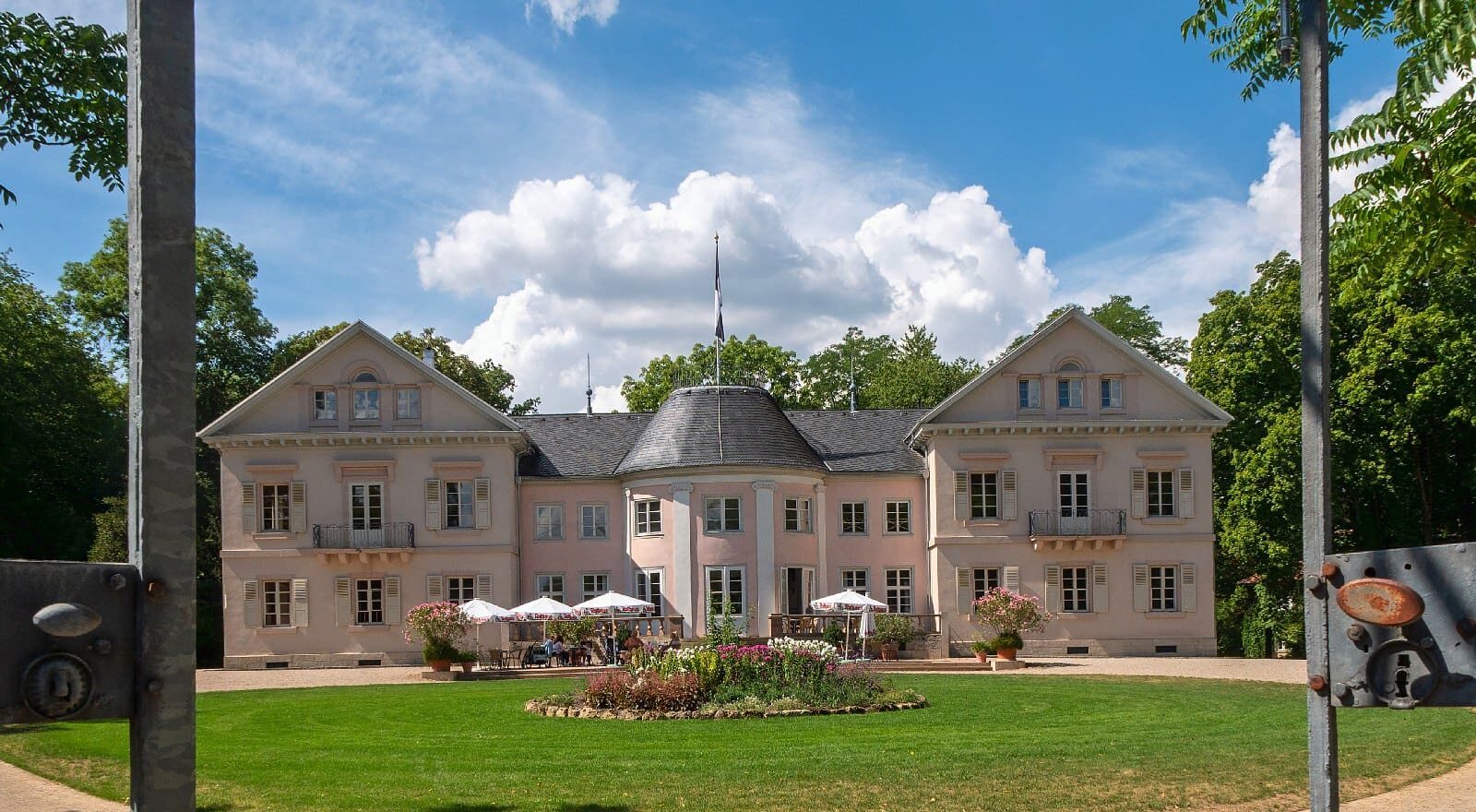 Professionelle Taubenabwehr in Hechingen