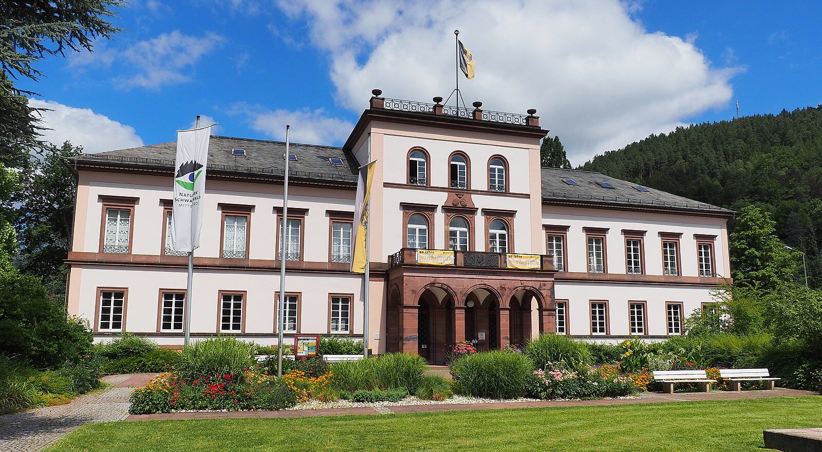 taubenabwehr_schramberg tauben-loswerden-mit-taubenspikes